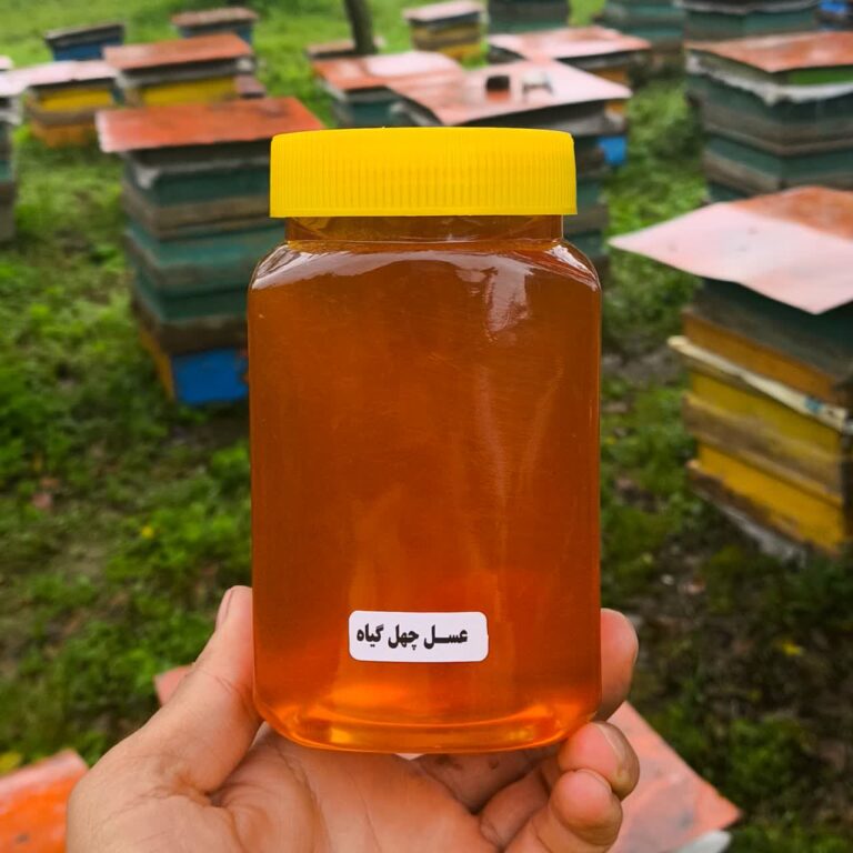 عسل ارگانیک ۸۵۰ گرمی
